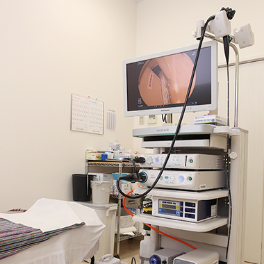 内視鏡検査（胃カメラ・大腸カメラ）